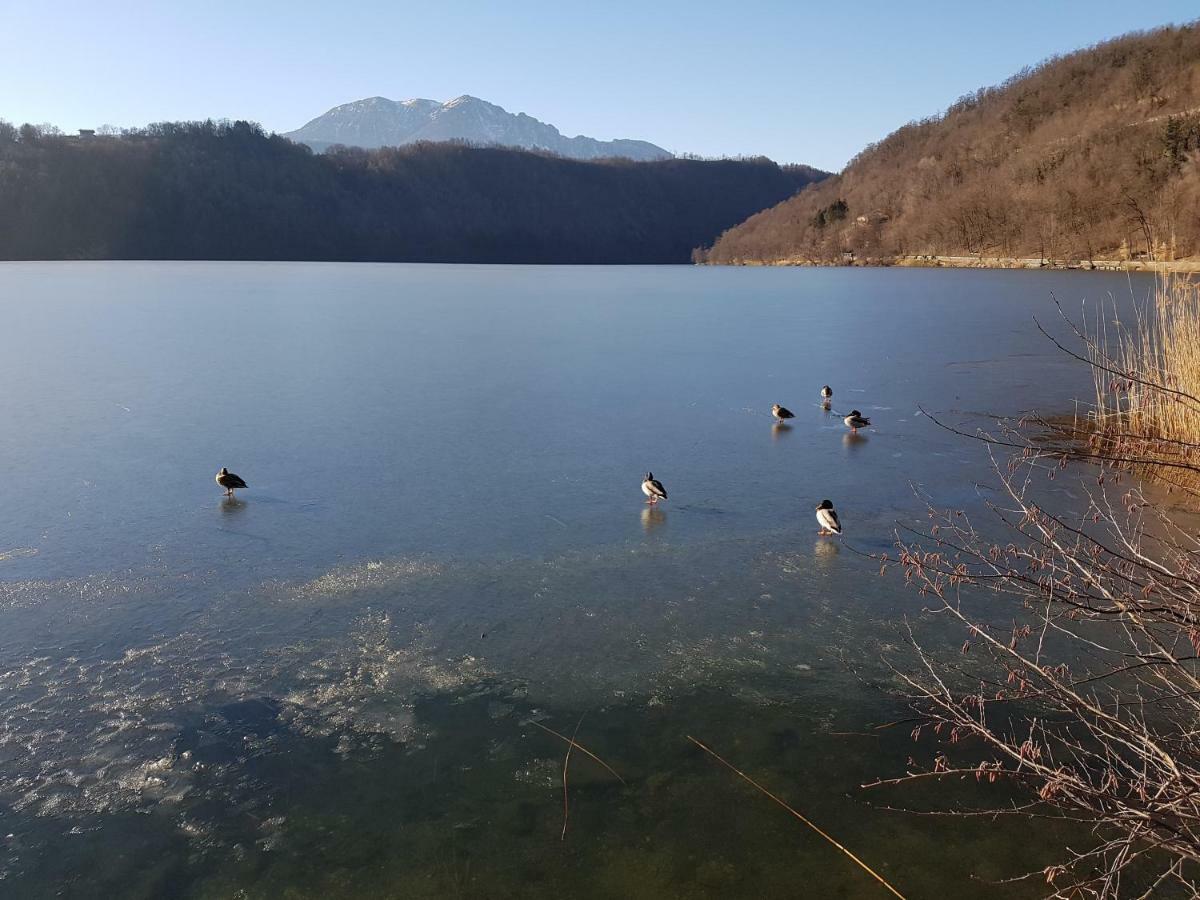 Appartamento Nido Levico Terme Exterior photo